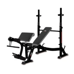 BH Fitness Banco Multiposición - Compacto, Robusto Y Estable - G330NFD Optima Press